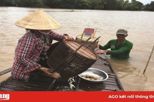 Chờ mùa lũ về