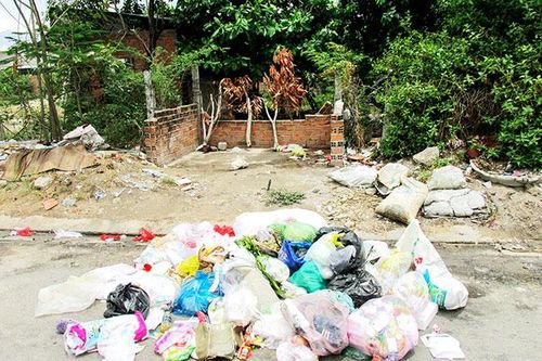 Cần bỏ rác đúng nơi quy định