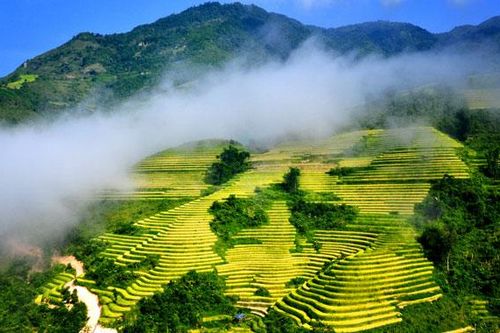 Những cung đường lúa chín
