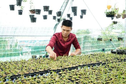 Chàng trai trẻ mê lan giả hạc