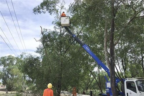 Triển khai nhiều giải pháp để giảm tổn thất điện năng