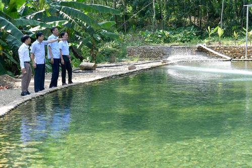 Phó Chủ tịch UBND tỉnh Nguyễn Thế Giang kiểm tra các cơ sở homestay huyện Lâm Bình