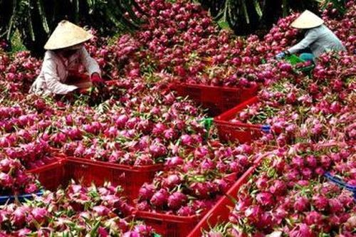 Tránh rủi ro khi ký hợp đồng thương mại điện tử