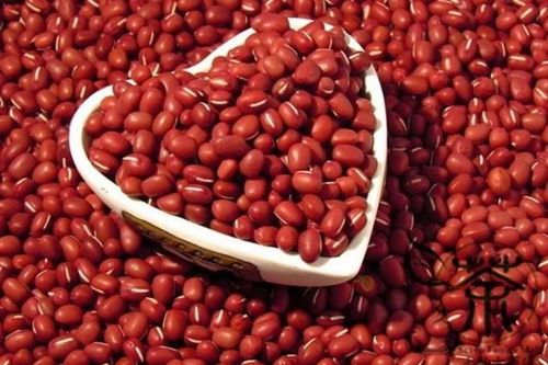 5 bài thuốc giúp điều trị viêm xương khớp