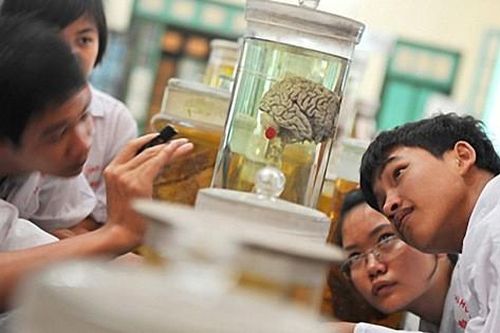 Điều đặc biệt trong lễ khai giảng không khoe thành tích, chỉ nhắc lời 'cảnh tỉnh' tại trường đại học 'ba điểm 9' khó nhất Việt Nam