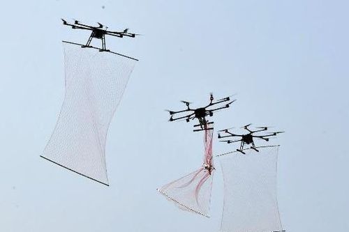 Trung Quốc chế tạo thiết bị bắt drone như Người nhện