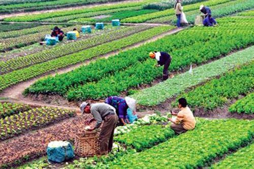 Tổ chức Diễn đàn Kinh tế hợp tác, hợp tác xã năm 2019