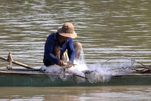 Mùa nước nổi về muộn ở Đồng Tháp