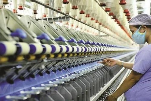 Doanh nghiệp bán lẻ tại Việt muốn đa dạng hóa hoạt động ở nước ngoài