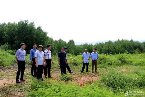 Nghệ An kiểm tra các dự án đầu tư hạ tầng khu, cụm công nghiệp