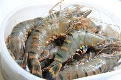 Dấu hiệu nào chứng tỏ bạn đã mua phải tôm chứa nhiều chất độc?