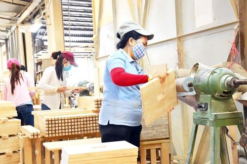 Phê duyệt đề cương xây dựng đề án sản xuất, chế biến lâm sản bền vững
