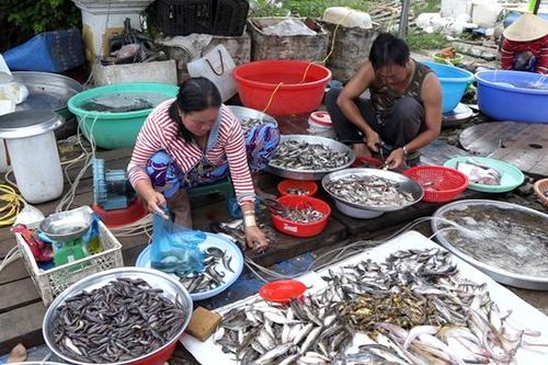 Giá cá đồng giảm nhẹ