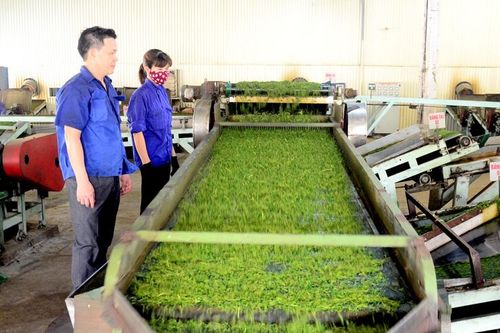 Nâng cao năng lực chế biến nông, lâm sản