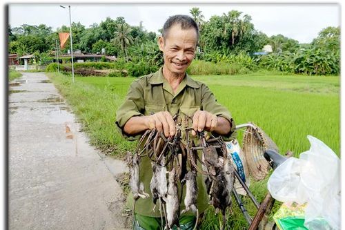 'Người hùng' bảo vệ mùa màng