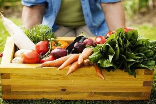 Việt Nam phấn đấu vào top 15 về nông nghiệp hữu cơ