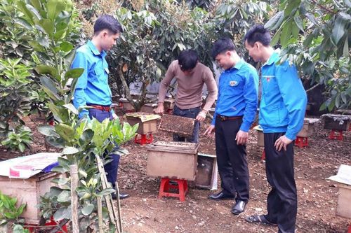 Khởi nghiệp cùng thanh niên nông thôn