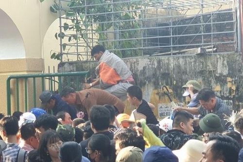 Những hình ảnh phản cảm và 'đắt' nhất tại lễ hội chọi trâu Đồ Sơn