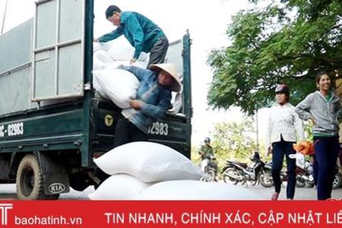 Chính phủ cấp 1.000 tấn gạo hỗ trợ nhân dân vùng lũ Hà Tĩnh