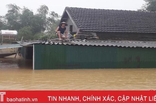 Hương Khê đề xuất hỗ trợ 160 tấn giống ngô, khoai lang cho bà con vùng lũ