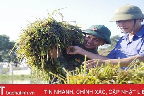Gần 1.000 cán bộ, chiến sỹ BCH Quân sự Hà Tĩnh giúp nhân dân khắc phục hậu quả sau lũ