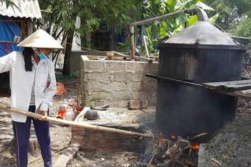 Kinh tế Công nghiệp - TTCN Giải bài toán vùng nguyên liệu, phát triển thị trường dầu tràm Huế