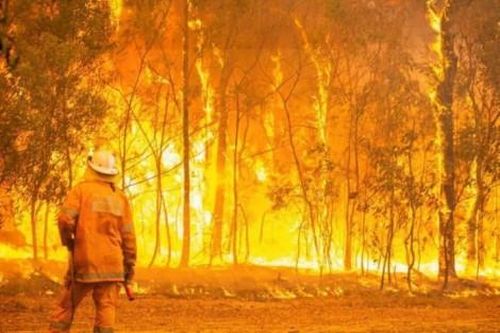 Thế giới Thế giới toàn cảnh Australia vật lộn với hơn 100 vụ cháy rừng dọc bờ biển phía Đông