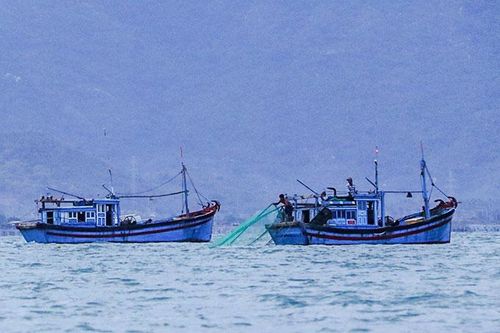 Luật pháp không phải để bó tay…