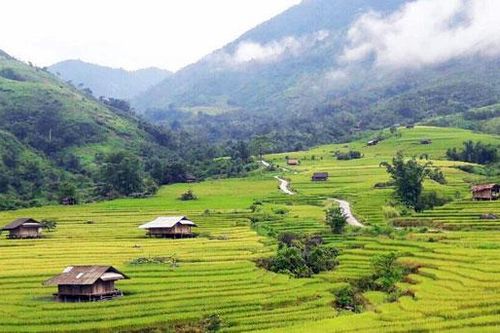 Mênh mang mùa lúa Nậm Hò