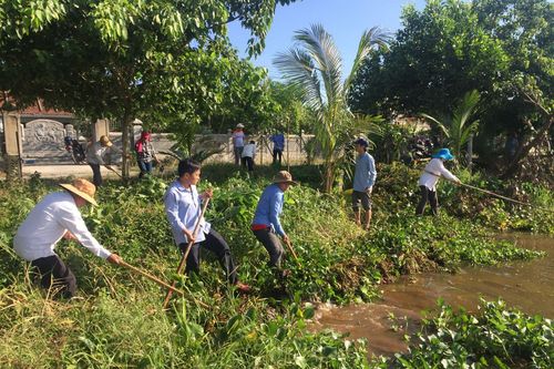 Kinh tế Nông nghiệp - Nông thôn Cần xem phong trào 'Ngày Chủ nhật xanh' là 'phong trào mở'