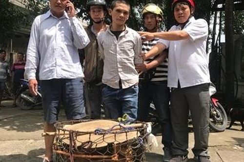 Tóm kẻ trộm xe từ 4 con chó
