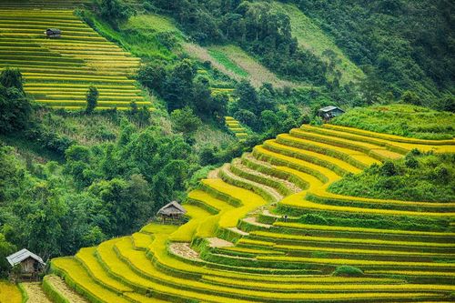Qua miền di sản ruộng bậc thang