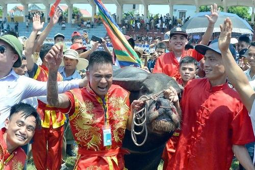 Lễ hội chọi trâu Đồ Sơn 2019: Rút kinh nghiệm gì khi lễ hội quá tải?