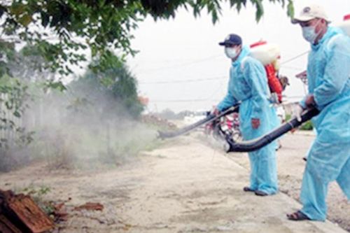 Chủ động phòng, chống sốt xuất huyết Dengue