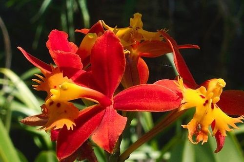 Tử vi ngày 10/9/2019: Tuổi Tỵ kẻ xấu nẫng tay, tuổi Tuất thăng tiến bất ngờ