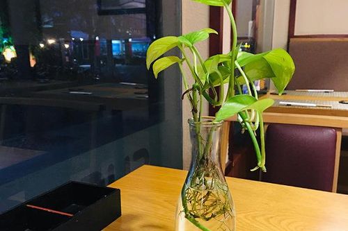 Trước đám cưới một tháng, vợ tôi đã ngủ cùng cậu bạn thân của tôi