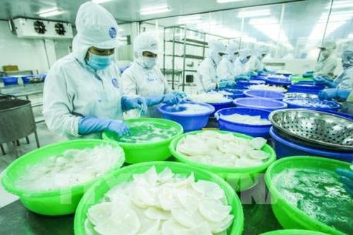 Xuất khẩu Việt Nam sang thị trường Séc và EU tiếp tục tăng