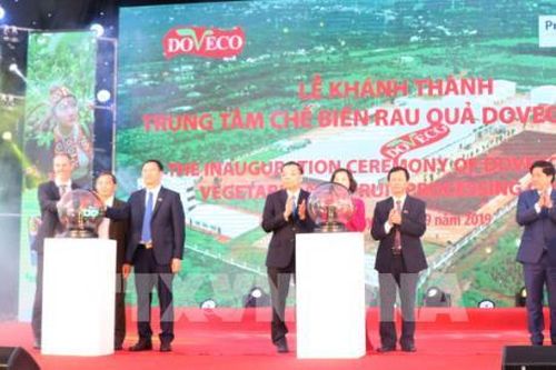 Khánh thành Trung tâm chế biến rau quả Doveco Gia Lai lớn nhất Tây Nguyên