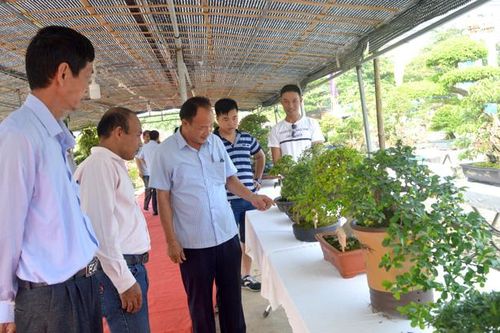 TP Tuyên Quang tổ chức triển lãm sinh vật cảnh và đấu giá từ thiện