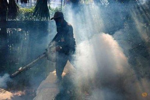 Thế giới Thế giới toàn cảnh Bệnh sốt rét có thể được loại bỏ vào năm 2050