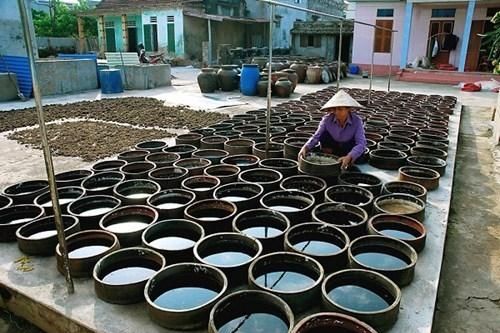 Tôn vinh làng nghề nước mắm Nam Ô