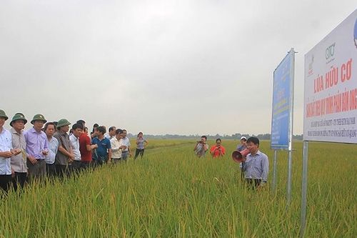 Đổi thay trên vùng đất khó