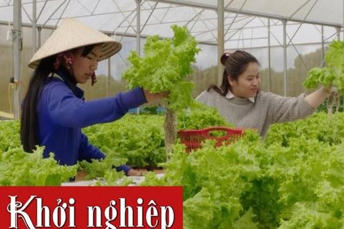 Phụ nữ Măng Đen thu nhập ổn định nhờ trồng rau an toàn