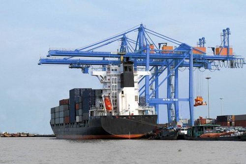 Mỗi tuần một cổ phiếu: DVP được đánh giá khả quan với giá mục tiêu 50.900 đồng/cp