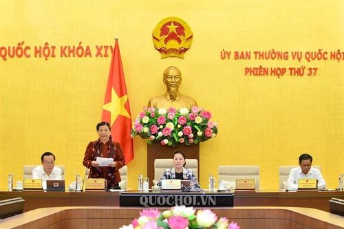 Thực sự 'trưởng thành về mặt chất lượng'