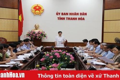 Tập trung phòng, chống có hiệu quả bệnh Dịch tả lợn Châu Phi