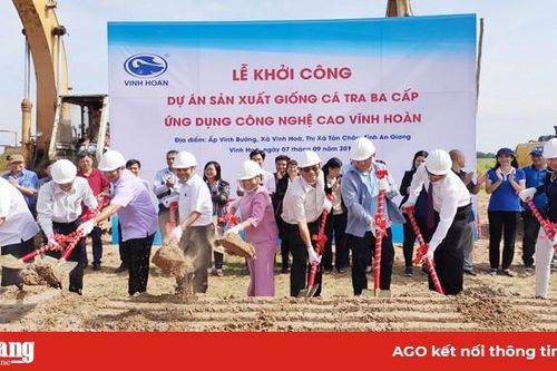 Thêm dự án giống cá tra quy mô lớn ở cù lao Vĩnh Hòa