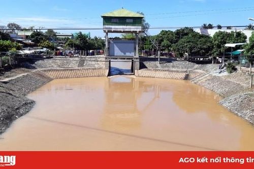 Xả lũ đón phù sa