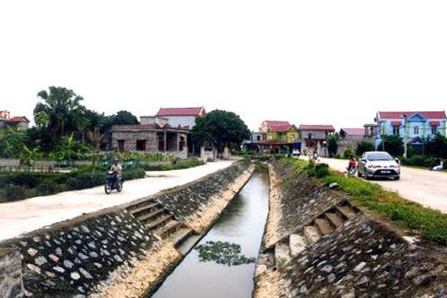 Công ty KTCTTL Ninh Bình: Chủ động điều tiết nước bảo vệ lúa và cây màu