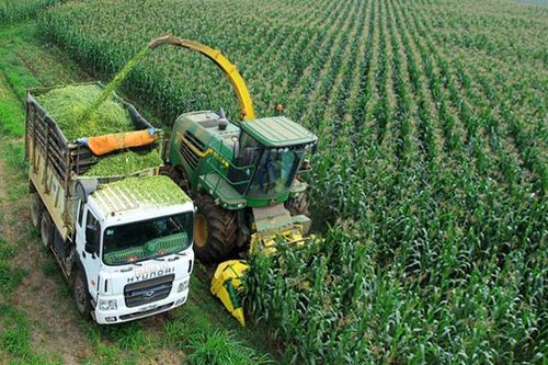 Khoa học - công nghệ đồng hành cùng nông nghiệp: Vì mục tiêu phát triển bền vững